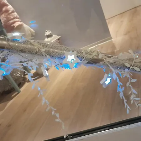 Albero Della Gæstehus Spotorno