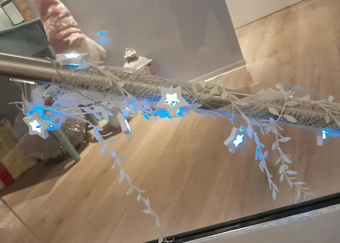 Albero Della Pensión Spotorno