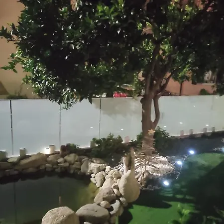 Albero Della *
