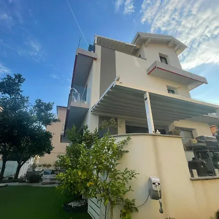 Albero Della Spotorno