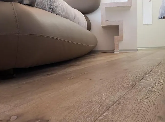 Albero Della Споторно